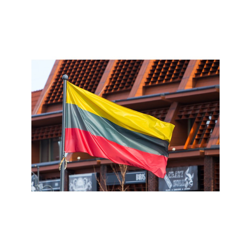 Lietuvos vėliava 150 x 250 cm