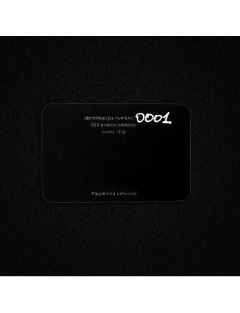 Sidabrinis pakabukas „Vytis“