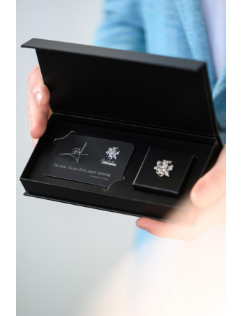 Sidabrinis ženkliukas VYTIS | 925 prabos sidabras, rankų darbo