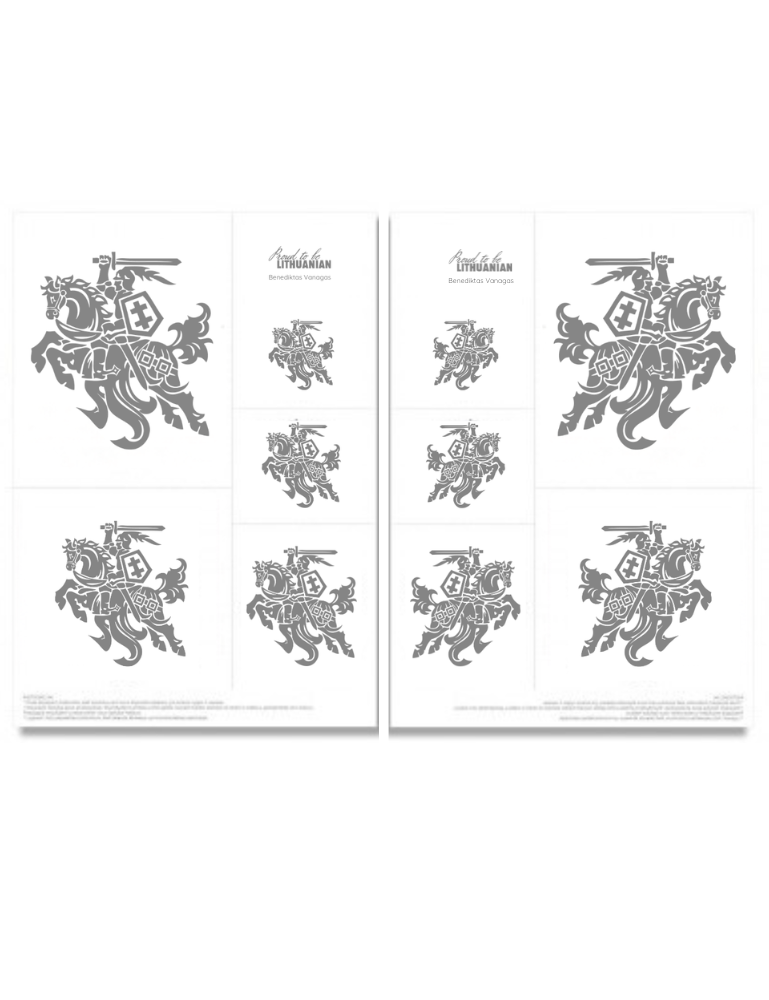 Lipdukų komplektas VYTIS – automobiliams