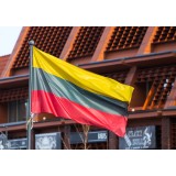 Lietuvos trispalvė vėliava (su raišteliais)