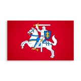 Įrėminta Lietuvos istorinė vėliava